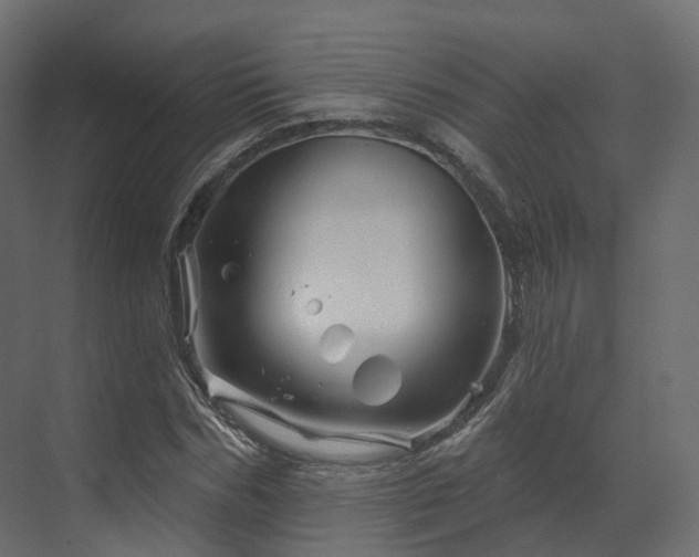 X0000070180970200605301347