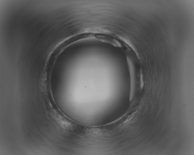 X0000070180971200605301347