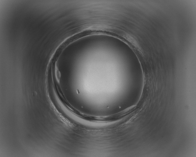X0000070180976200605301347