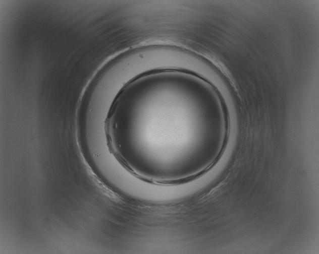X0000070180984200605301347