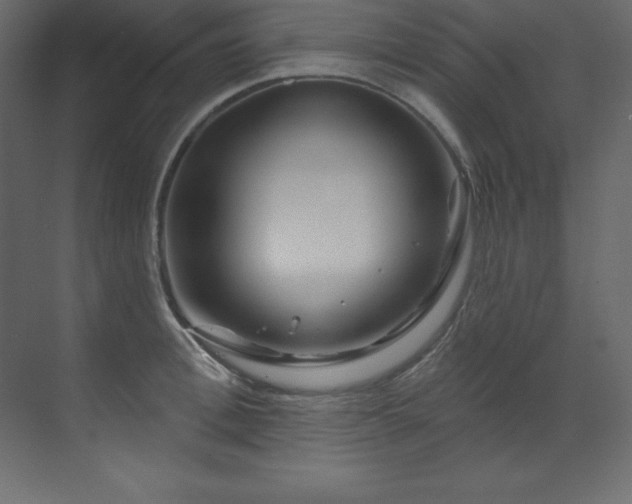 X0000070180996200605301346