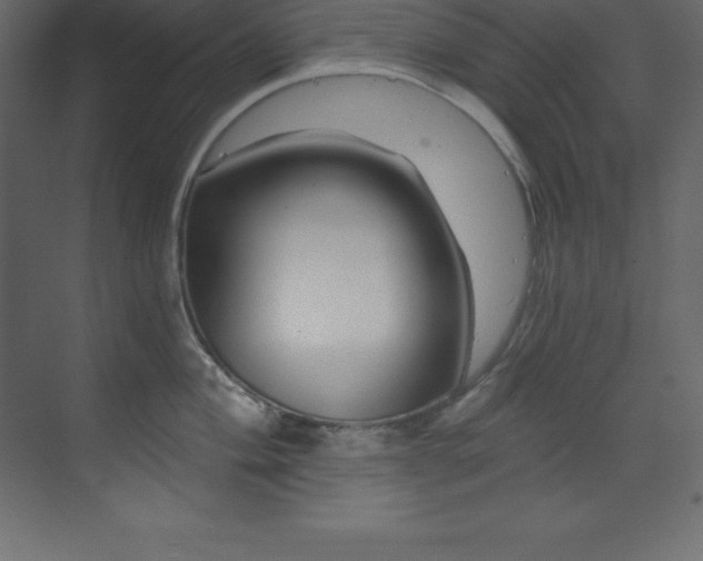 X0000070181004200605301346