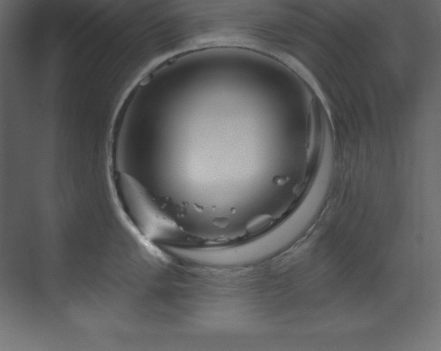 X0000070181005200605301346