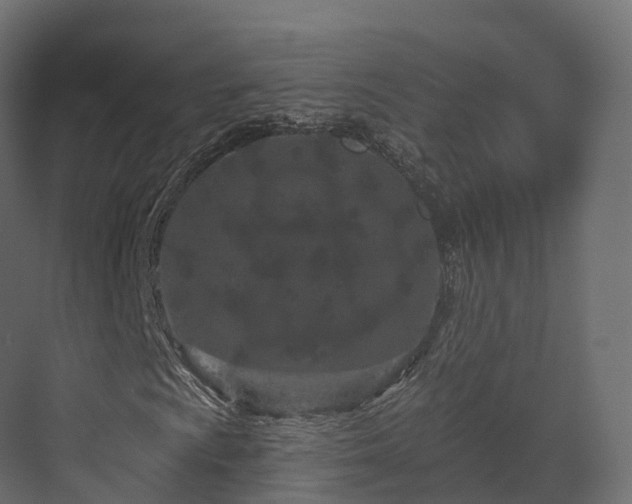 X0000070181009200605301345