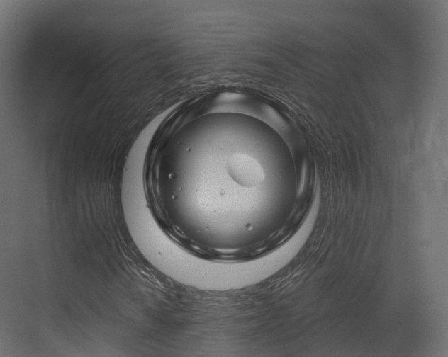X0000070181010200605301345