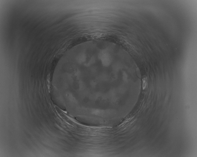 X0000070181011200605301345