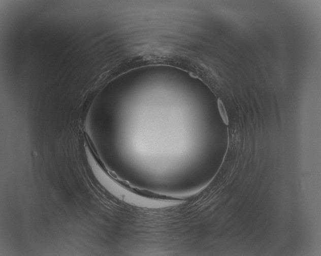X0000070181012200605301345