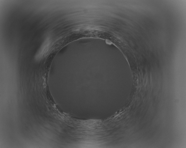 X0000070181013200605301345