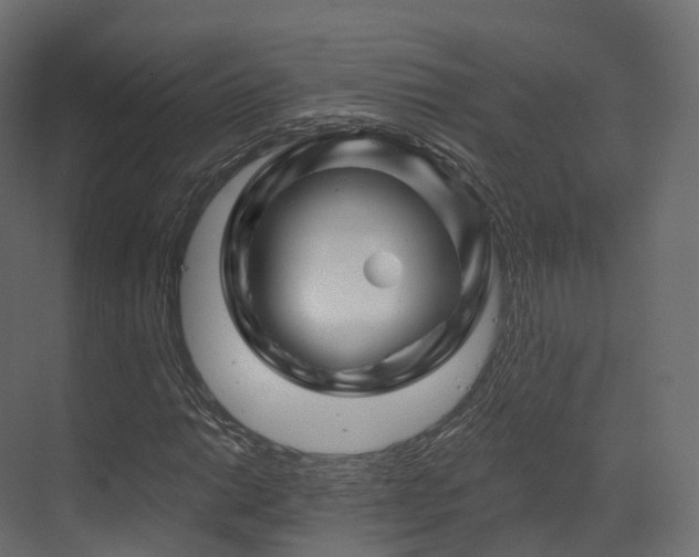 X0000070181014200605301345