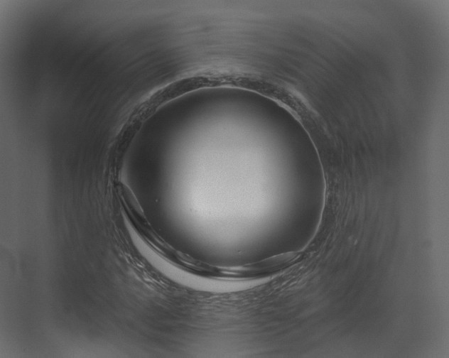 X0000070181016200605301346