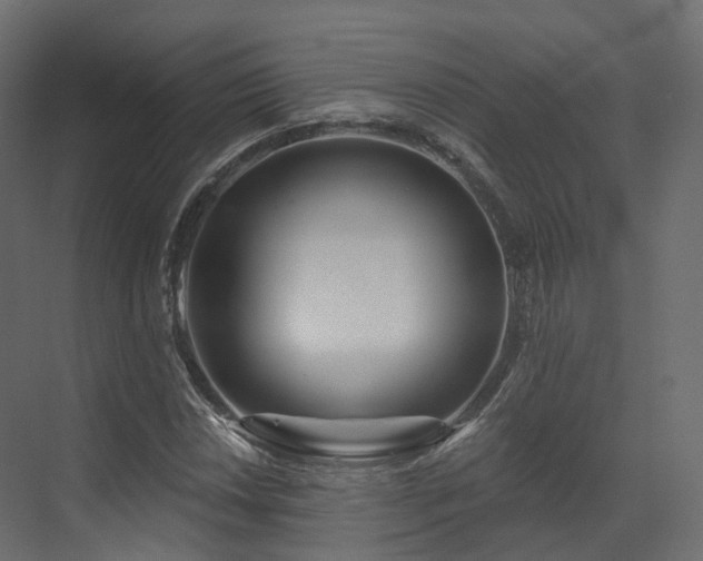 X0000070181018200605301346