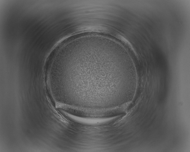 X0000070181019200605301346