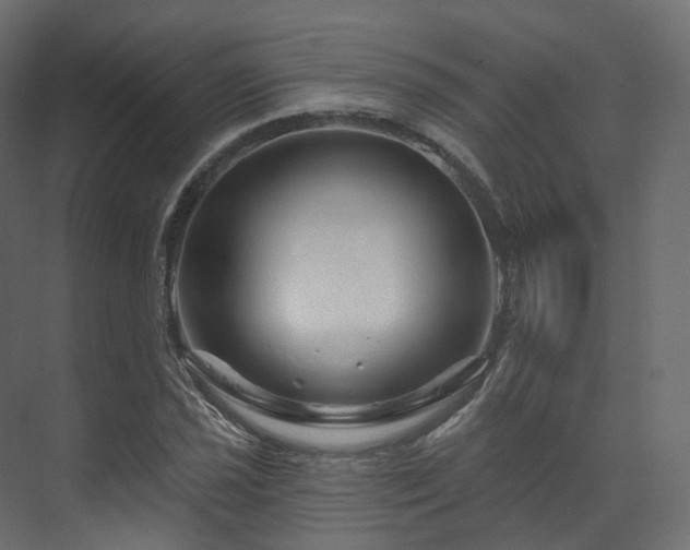 X0000070181021200605301346
