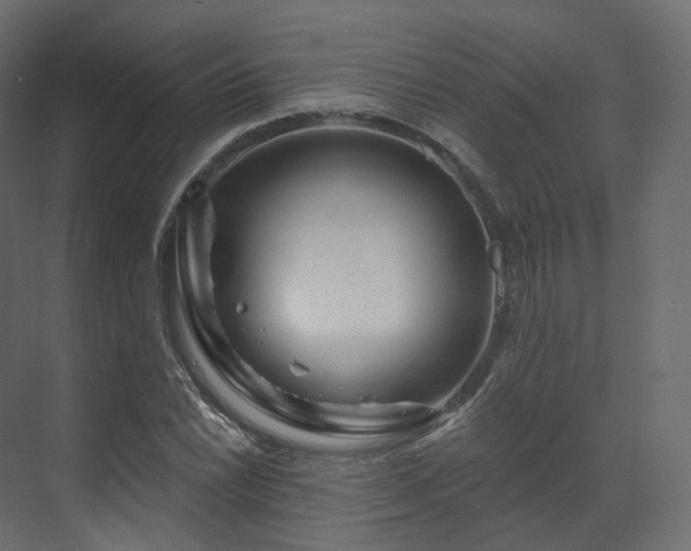 X0000070181022200605301346