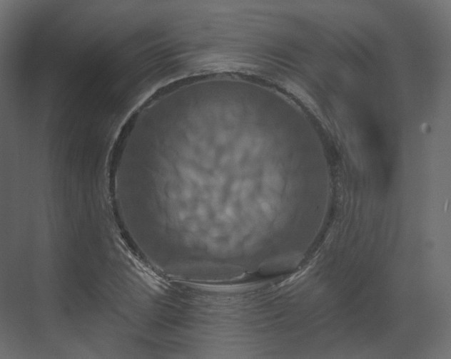 X0000070181023200605301346