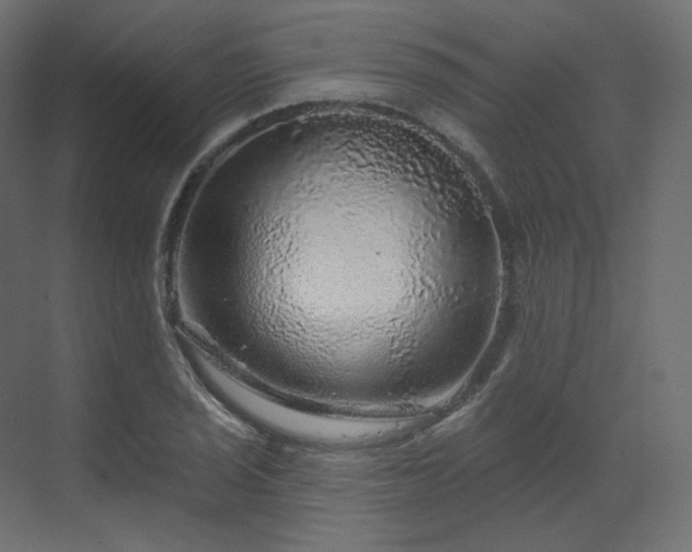 X0000070181029200605301346