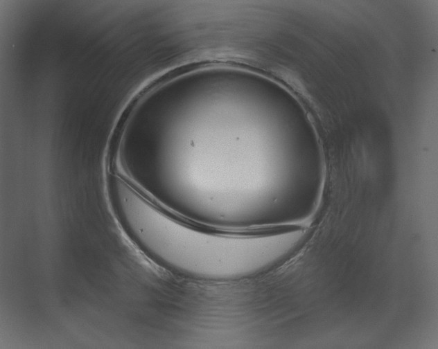 X0000070181032200605301346
