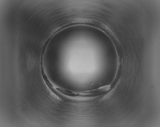 X0000070181033200605301346