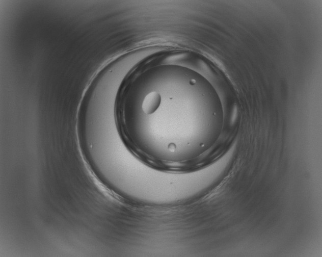 X0000070181034200605301346