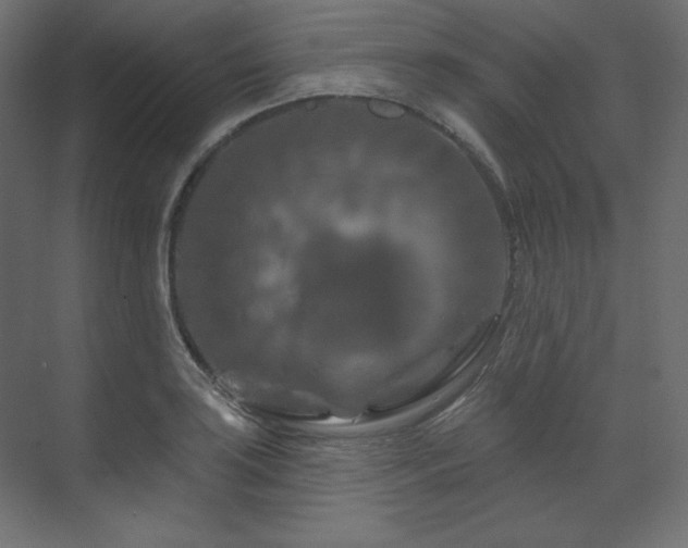 X0000070181035200605301346
