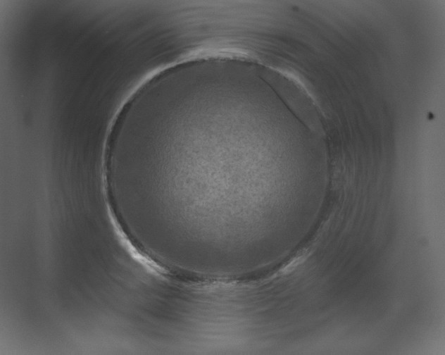 X0000070181038200605301346