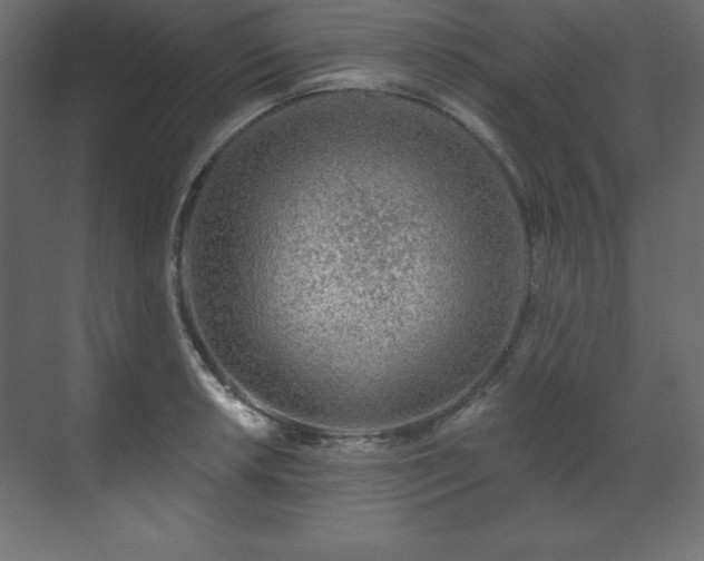 X0000070181042200605301346