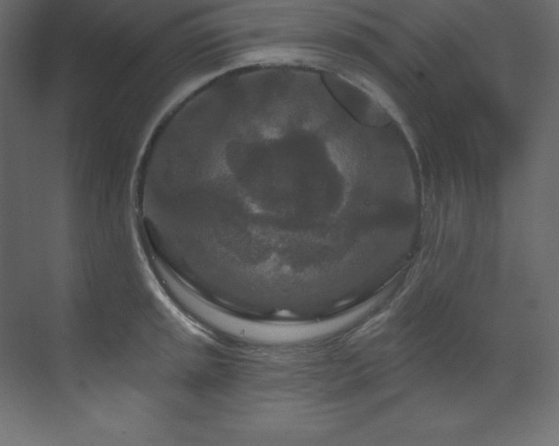 X0000070181045200605301346