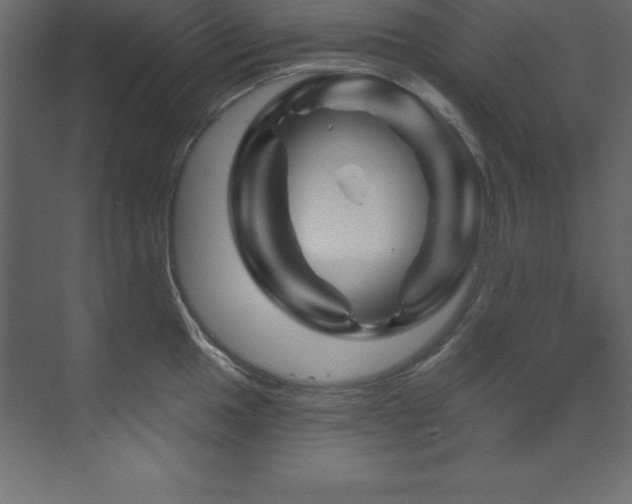 X0000070181049200605301346