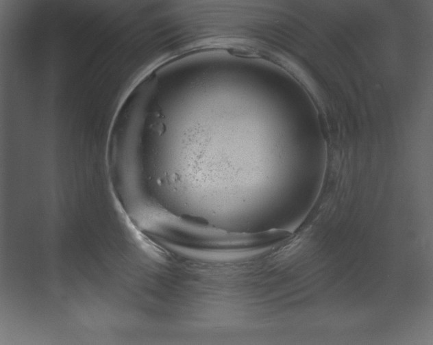 X0000070181050200605301346