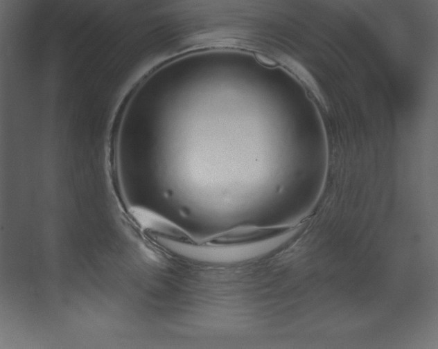 X0000070181051200605301346