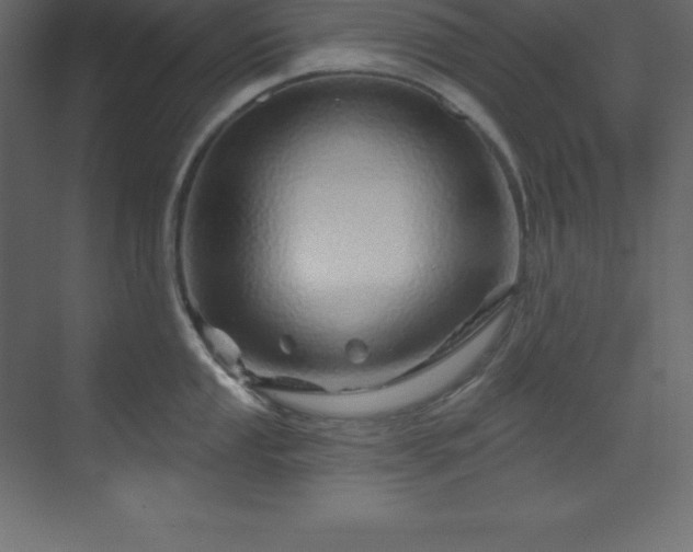 X0000070181053200605301346