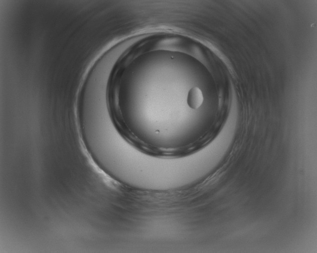 X0000070181054200605301346