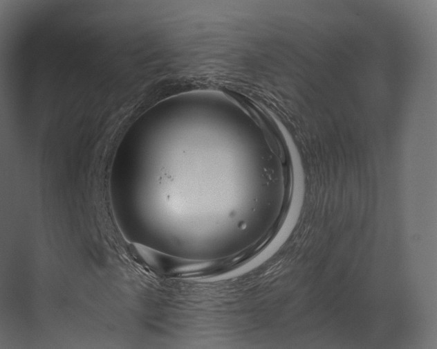 X0000070181057200605301345