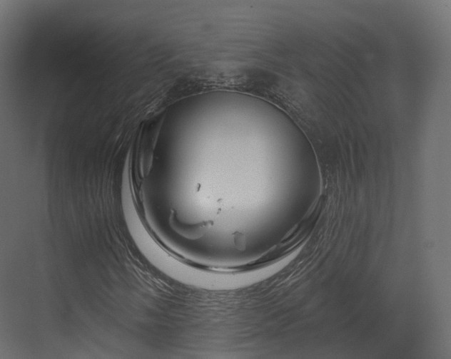 X0000070181058200605301345