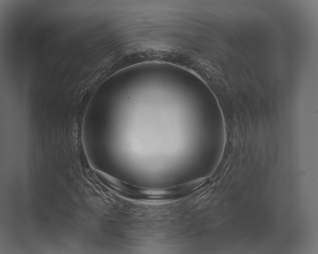 X0000070181061200605301345