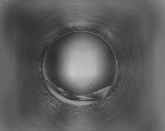 X0000070181062200605301345
