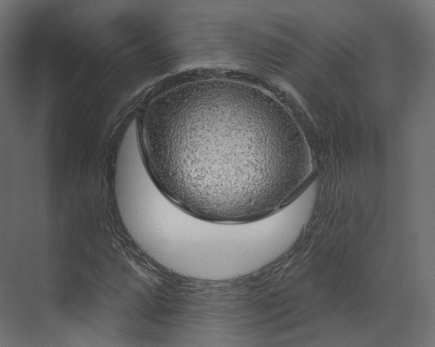 X0000070181064200605301345