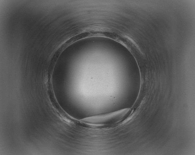 X0000070181065200605301345