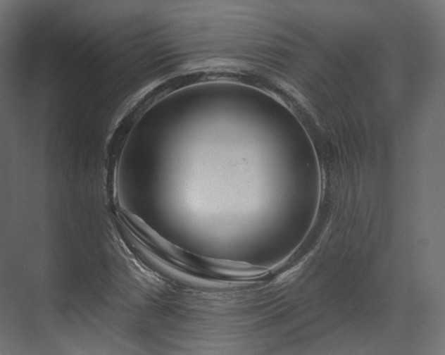 X0000070181066200605301345