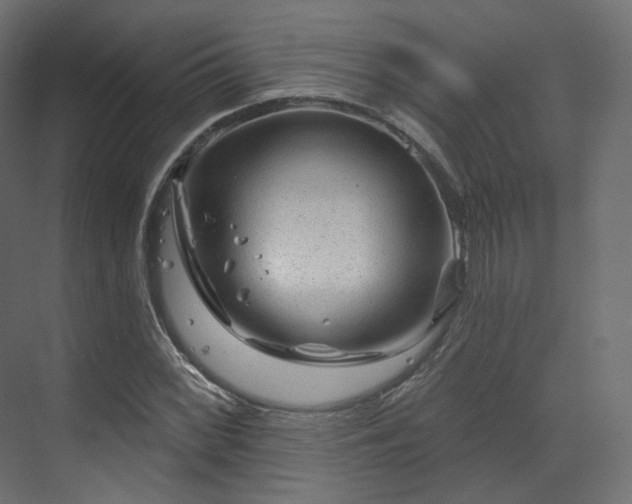 X0000070181068200605301345