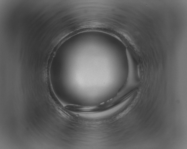 X0000070181073200605301345