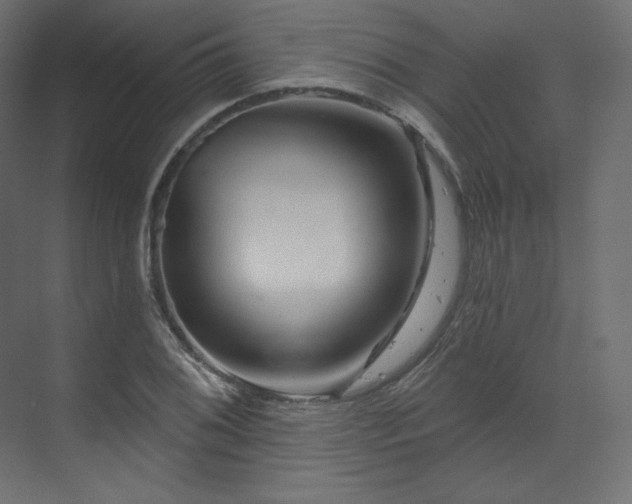 X0000070181076200605301345