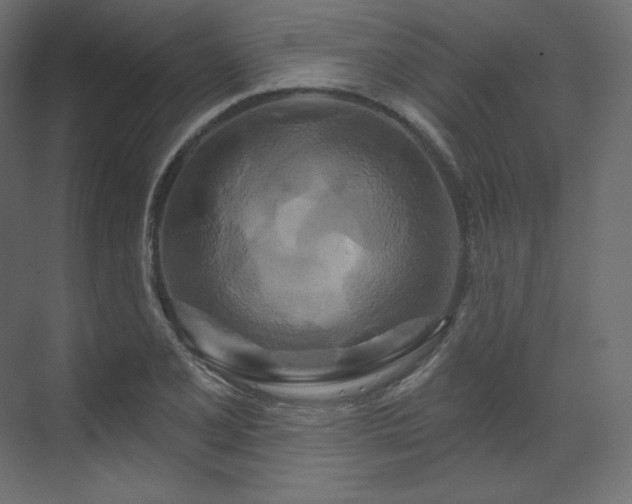 X0000070181077200605301345