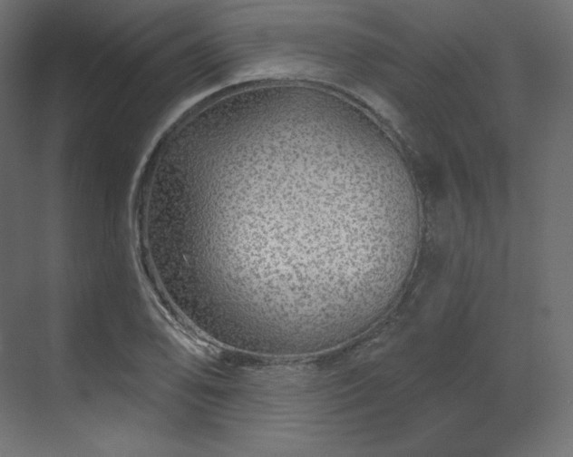 X0000070181078200605301345