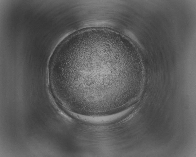 X0000070181079200605301345