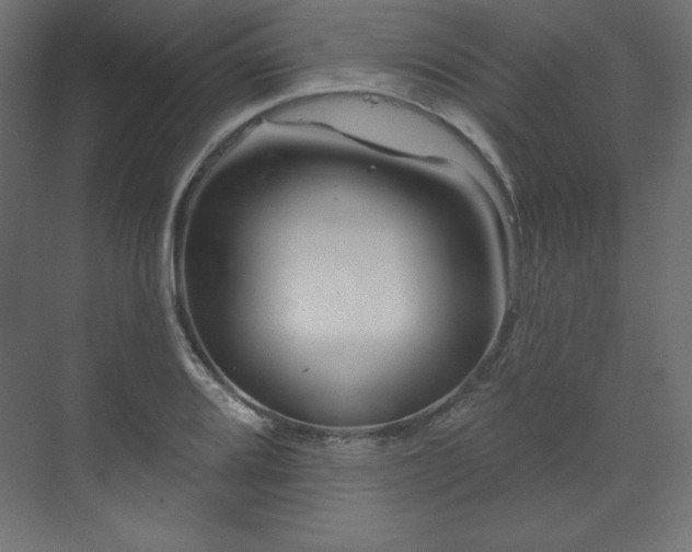 X0000070181080200605301345