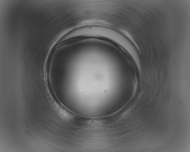 X0000070181082200605301345