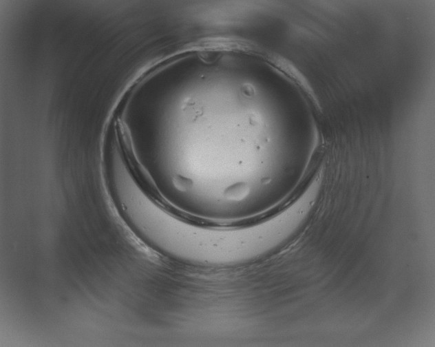 X0000070181091200605301345