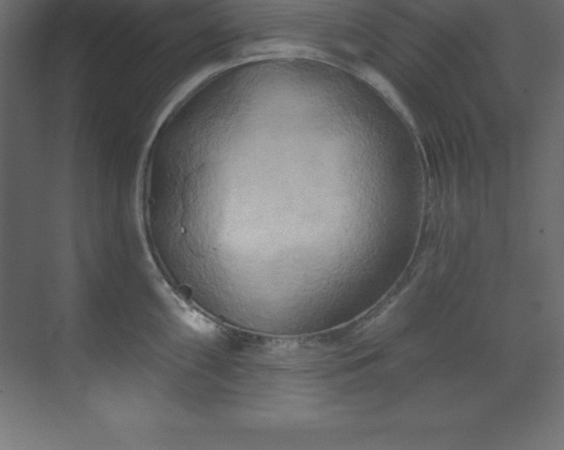 X0000070181098200605301345