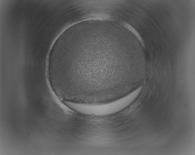 X0000070181099200605301345